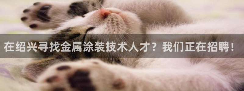 美狮美高梅酒店是几星级