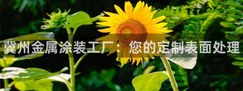 美高梅酒店的星级介绍