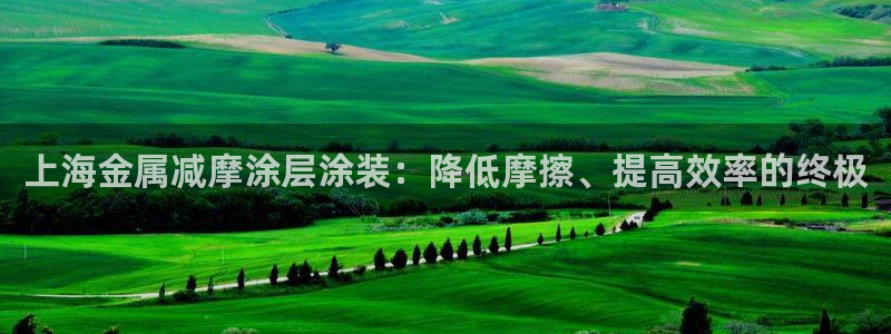 美高梅是做什么的澳门何超琼