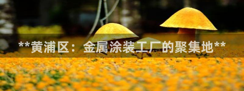 美高梅游戏官网app可以玩吗