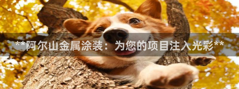 美高梅官方版app充值