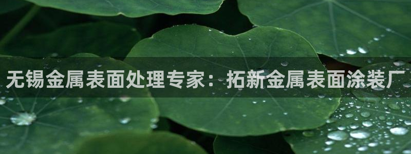 美高梅51平户型图