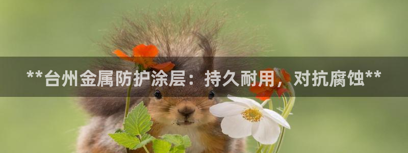 美高梅百款游戏