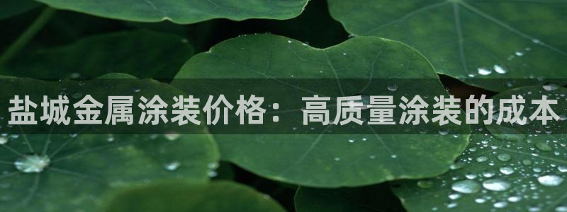 美高梅文旅