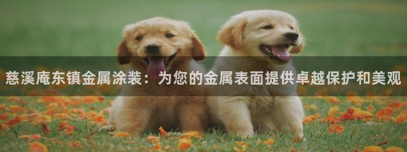 美高梅免费奶茶在哪