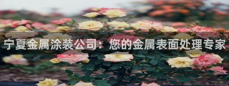 美狮美高梅酒店股东