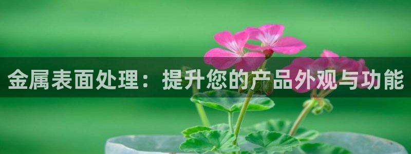 美高梅会员卡原始密码是多少