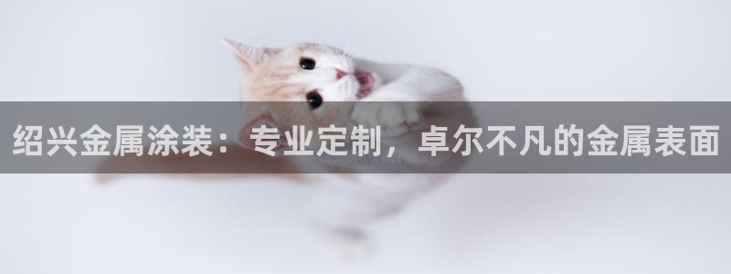 美高梅大酒店地址
