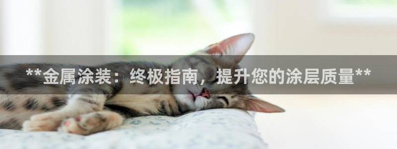 美高梅酒店何超琼