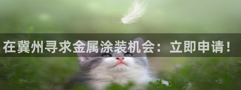 美狮美高梅酒店香氛