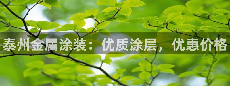鲁能 钓鱼台 美高梅