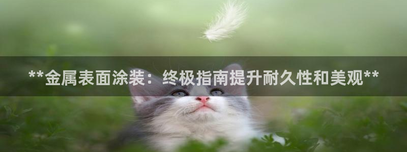 美高梅北京项目