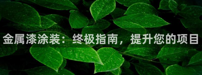 美高梅信德