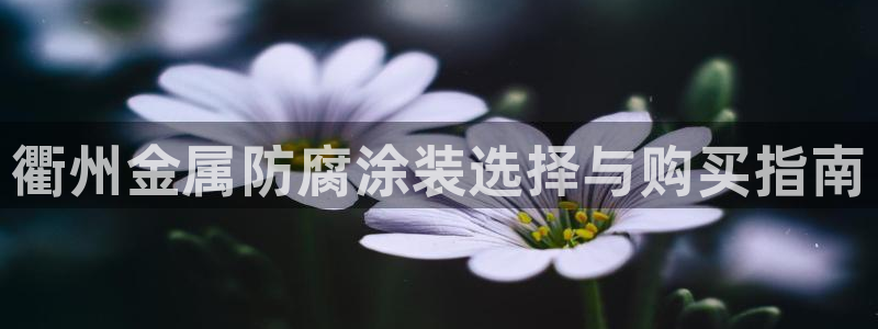 美高梅综合商业广场
