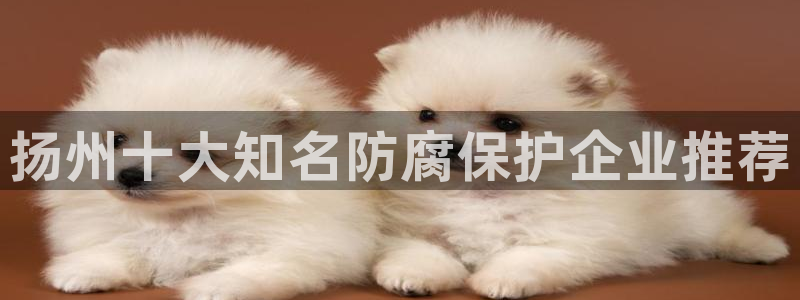 美高梅公司全称是什么