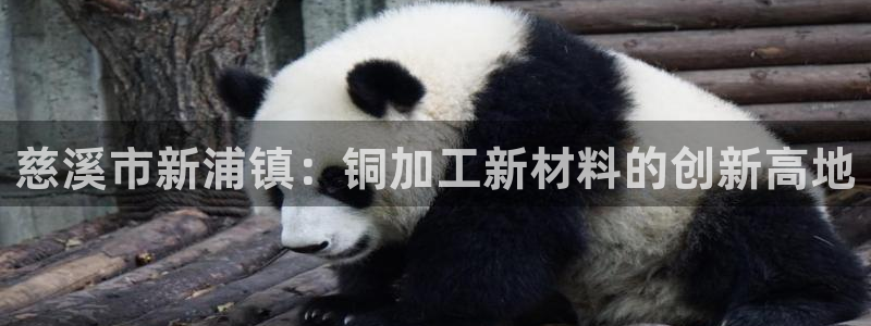 美高梅公司