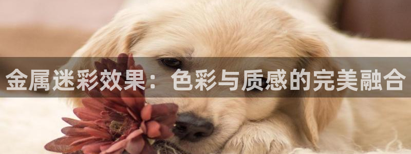 美高梅酒店人员是如何的培训