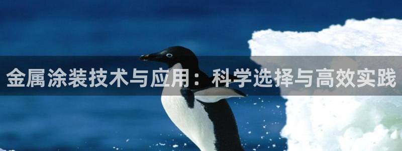 美高梅佛手柑润肤露怎么样