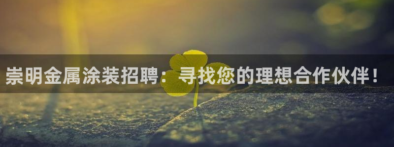 美高梅会员卡办理要提供什么资料：崇明金属