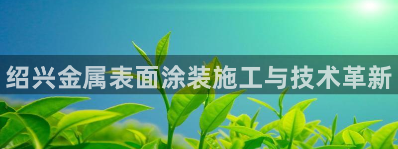 美高梅早餐多少钱：绍兴金属表面涂装施工与