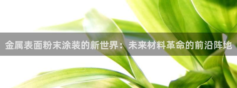 美高梅集团公司