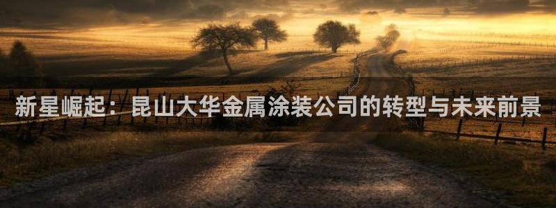 三亚美高梅酒店老板是谁
