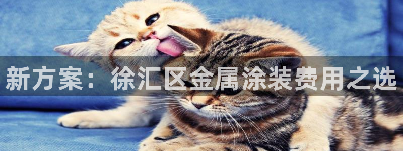 美高梅是做什么的澳门何超琼