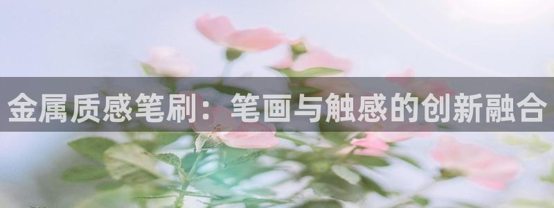 美高梅大酒店自助年卡