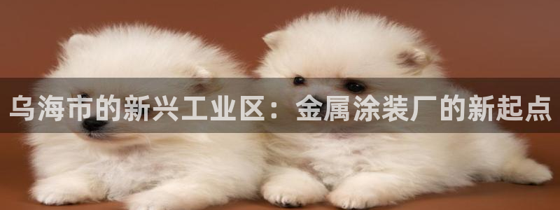 美高梅免费奶茶在哪