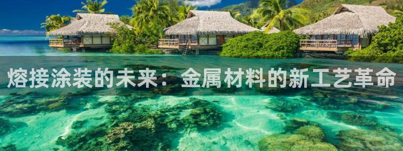 香港美高梅是做什么的：熔接涂装的未来：金