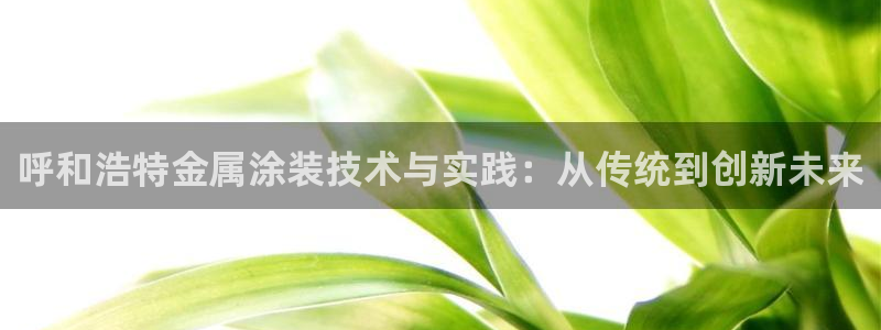美高梅股票代码09128：呼和浩特金属涂