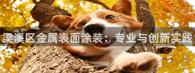 美高梅游戏推荐