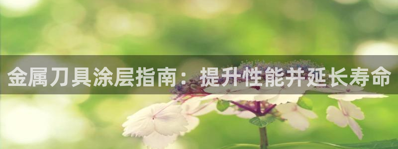 美高梅股票中国