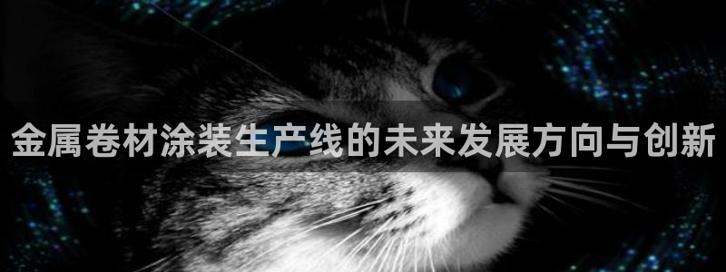 美高梅股票今天怎么了