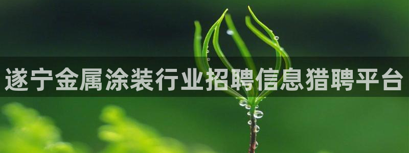 美高梅酒店多少层