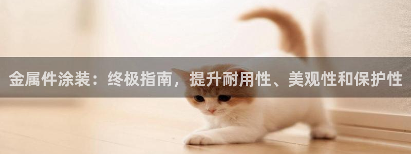 美高梅酒店有什么好玩的