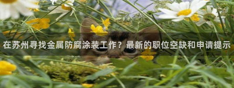 青岛美高梅属于什么档次